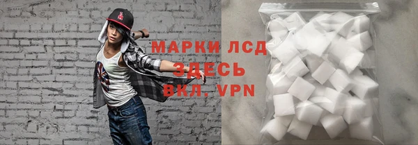 индика Нязепетровск