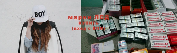 индика Нязепетровск