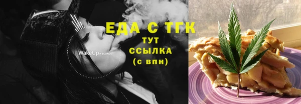 индика Нязепетровск