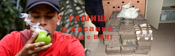 индика Нязепетровск
