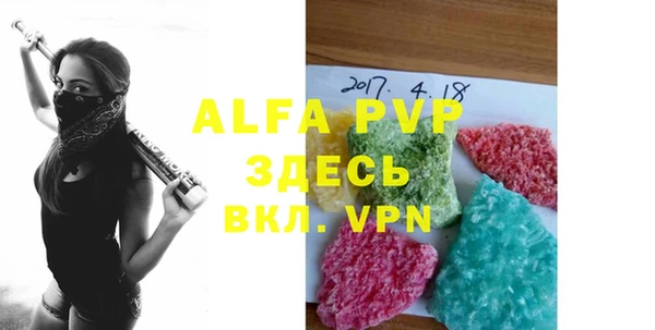 индика Нязепетровск