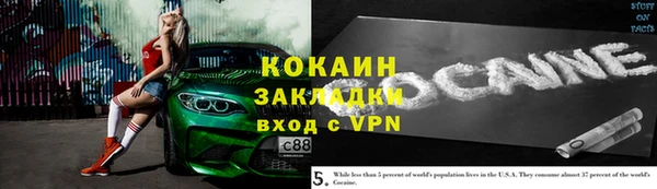 индика Нязепетровск