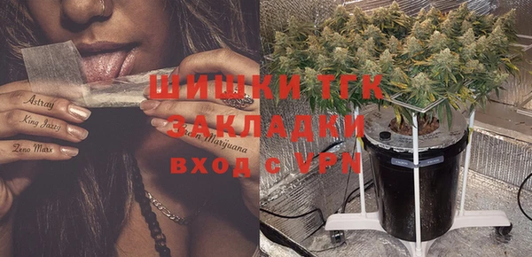 индика Нязепетровск