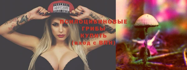 apvp Нягань