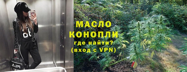 индика Нязепетровск