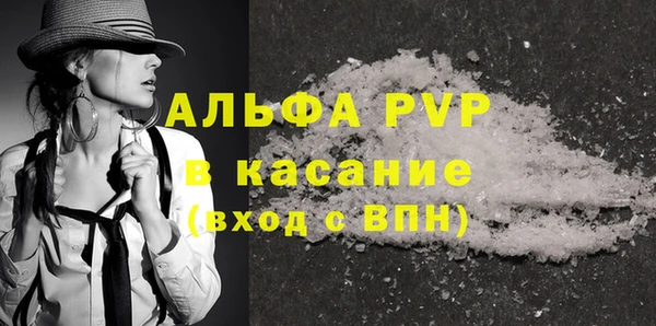 индика Нязепетровск