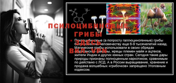 прущая мука Няндома