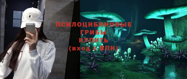 apvp Нягань