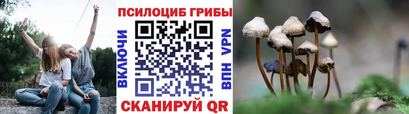 МЕГА ссылка  продажа наркотиков  Тында  Псилоцибиновые грибы ЛСД 